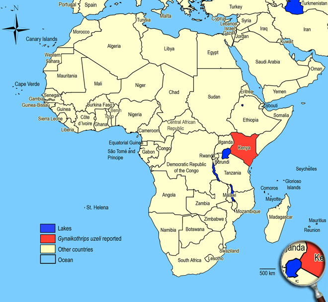 Distibution Map Africa